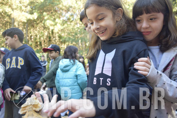 Buy your photos of the eventNR1 - English & Action - 07 a 09/06/19 on Fotop