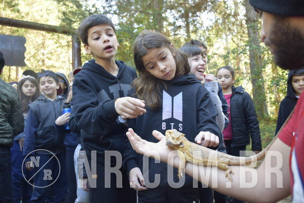 Buy your photos of the eventNR1 - English & Action - 07 a 09/06/19 on Fotop