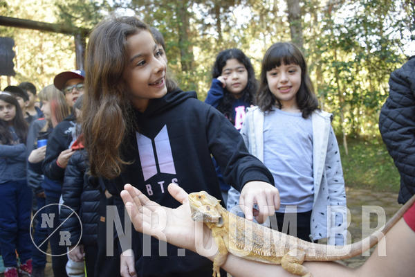 Buy your photos of the eventNR1 - English & Action - 07 a 09/06/19 on Fotop