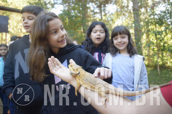 Buy your photos of the eventNR1 - English & Action - 07 a 09/06/19 on Fotop