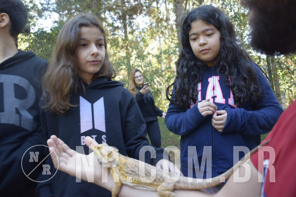 Buy your photos of the eventNR1 - English & Action - 07 a 09/06/19 on Fotop