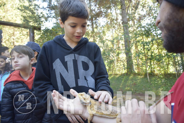 Buy your photos of the eventNR1 - English & Action - 07 a 09/06/19 on Fotop