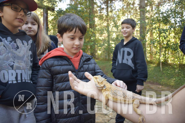 Buy your photos of the eventNR1 - English & Action - 07 a 09/06/19 on Fotop