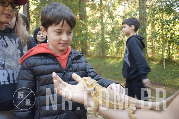 Buy your photos of the eventNR1 - English & Action - 07 a 09/06/19 on Fotop