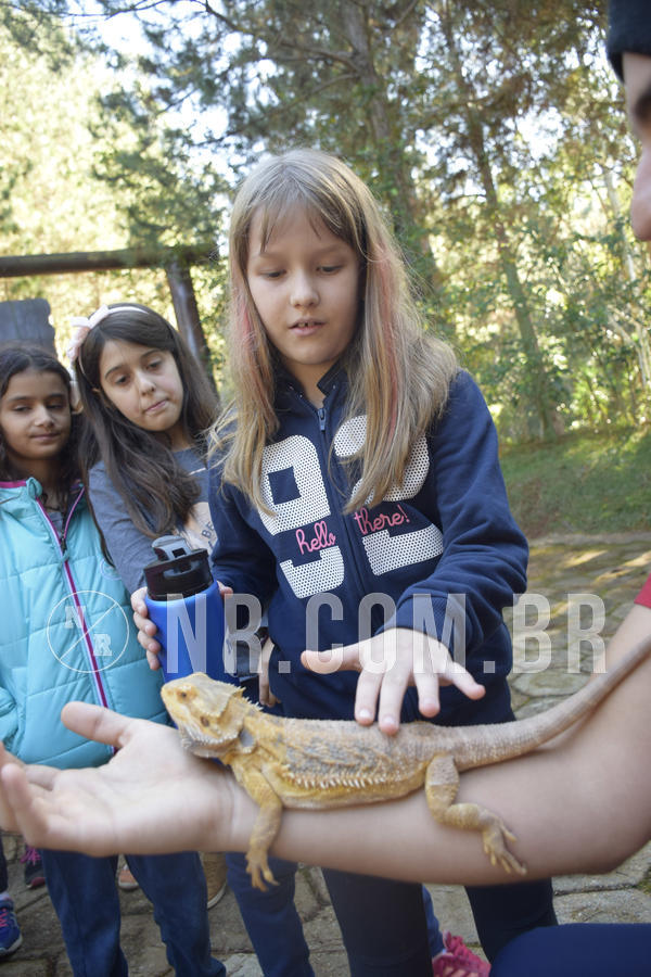 Buy your photos of the eventNR1 - English & Action - 07 a 09/06/19 on Fotop