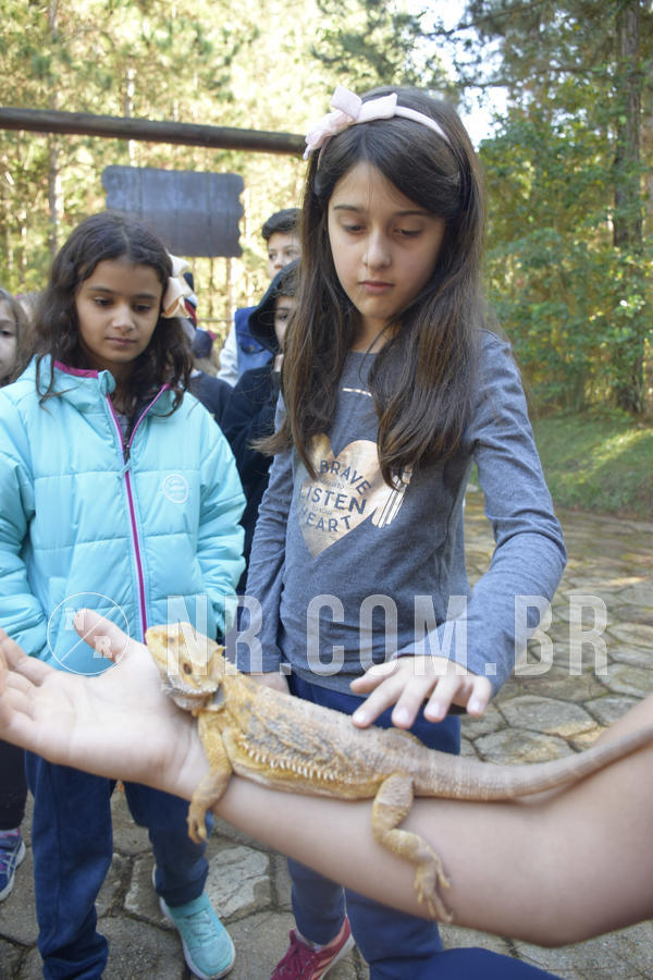 Buy your photos of the eventNR1 - English & Action - 07 a 09/06/19 on Fotop