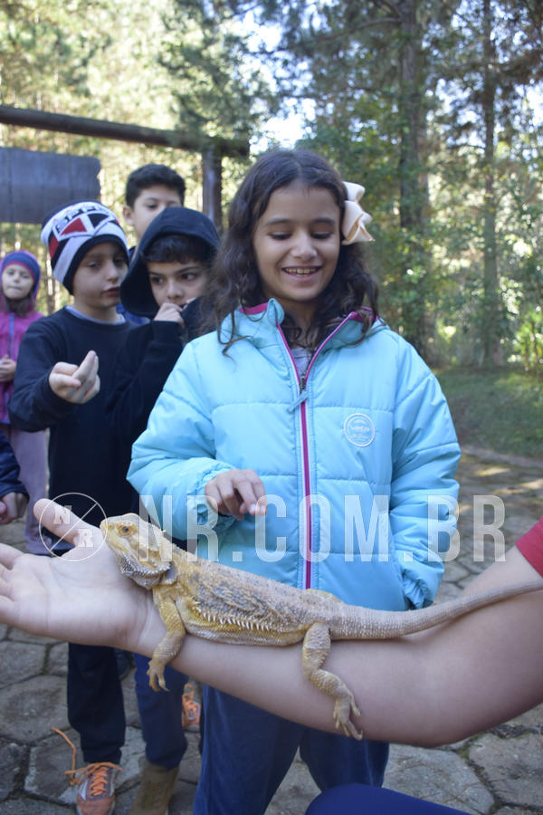 Buy your photos of the eventNR1 - English & Action - 07 a 09/06/19 on Fotop