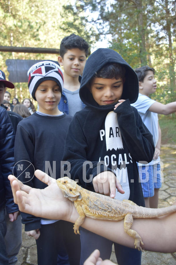 Buy your photos of the eventNR1 - English & Action - 07 a 09/06/19 on Fotop