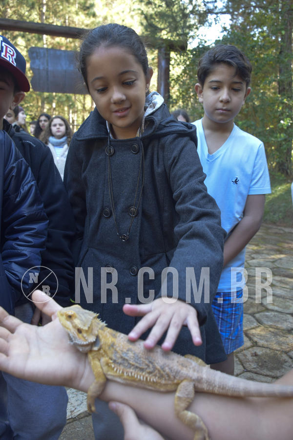 Buy your photos of the eventNR1 - English & Action - 07 a 09/06/19 on Fotop