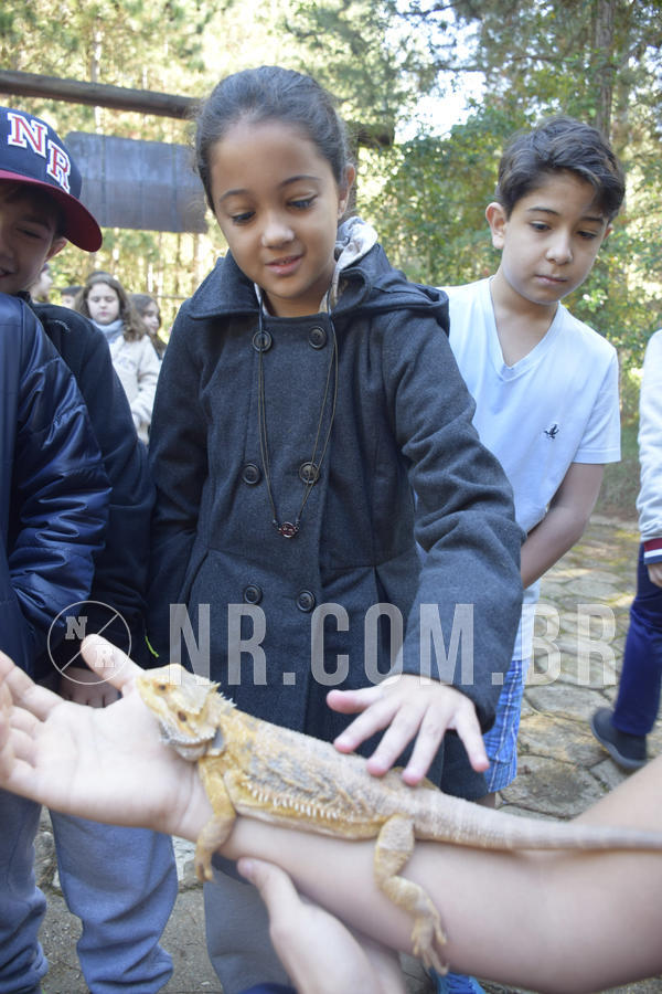 Buy your photos of the eventNR1 - English & Action - 07 a 09/06/19 on Fotop