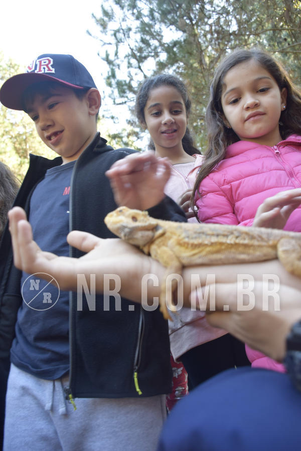 Buy your photos of the eventNR1 - English & Action - 07 a 09/06/19 on Fotop