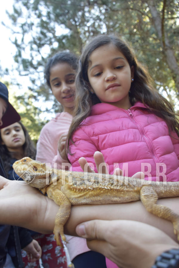 Buy your photos of the eventNR1 - English & Action - 07 a 09/06/19 on Fotop