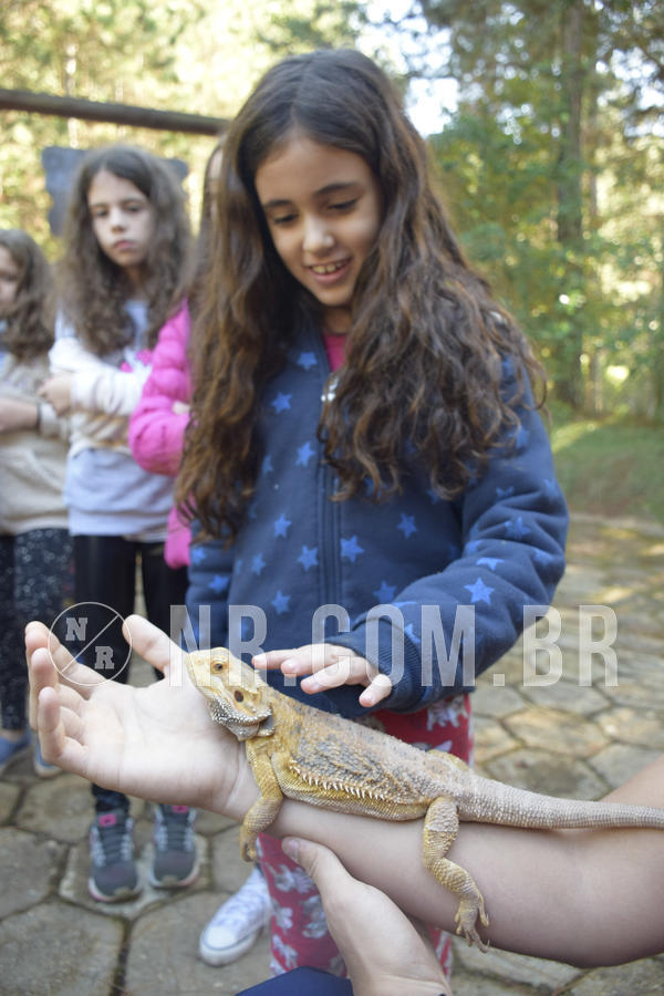 Buy your photos of the eventNR1 - English & Action - 07 a 09/06/19 on Fotop