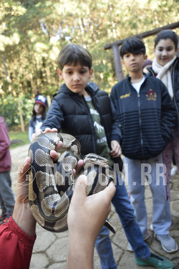 Buy your photos of the eventNR1 - English & Action - 07 a 09/06/19 on Fotop