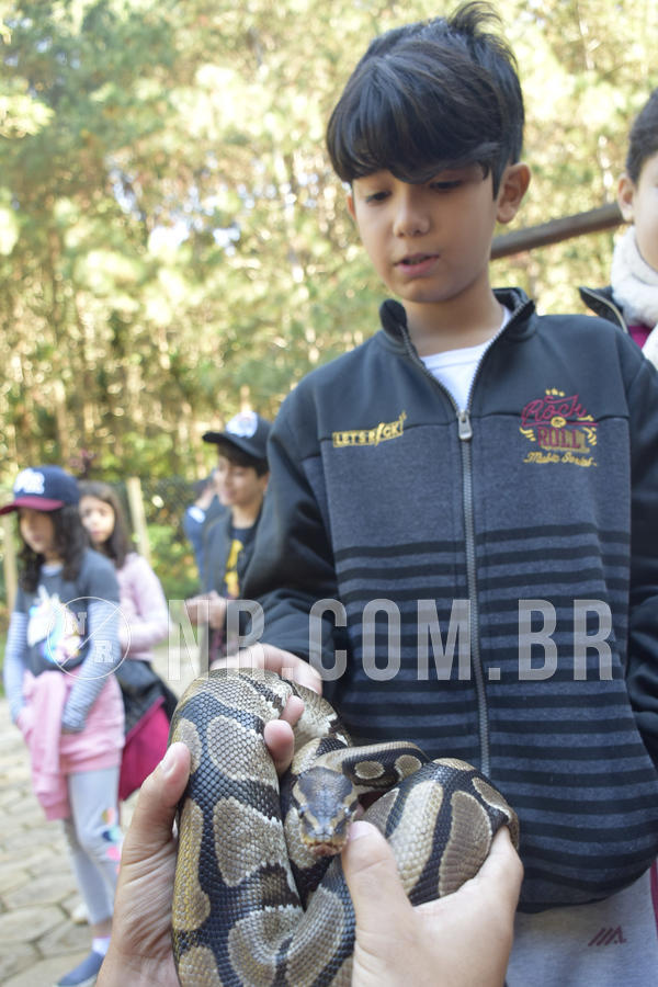 Buy your photos of the eventNR1 - English & Action - 07 a 09/06/19 on Fotop