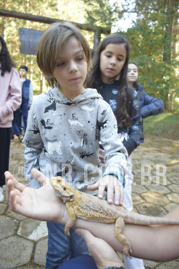 Buy your photos of the eventNR1 - English & Action - 07 a 09/06/19 on Fotop