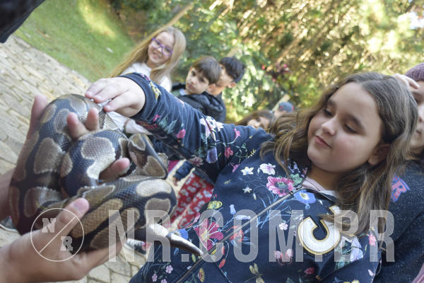 Buy your photos of the eventNR1 - English & Action - 07 a 09/06/19 on Fotop