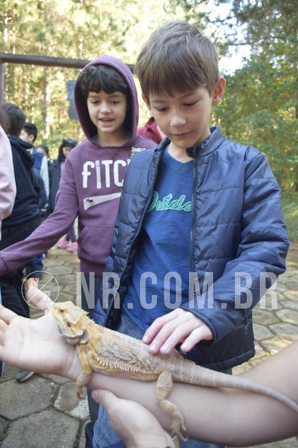 Buy your photos of the eventNR1 - English & Action - 07 a 09/06/19 on Fotop