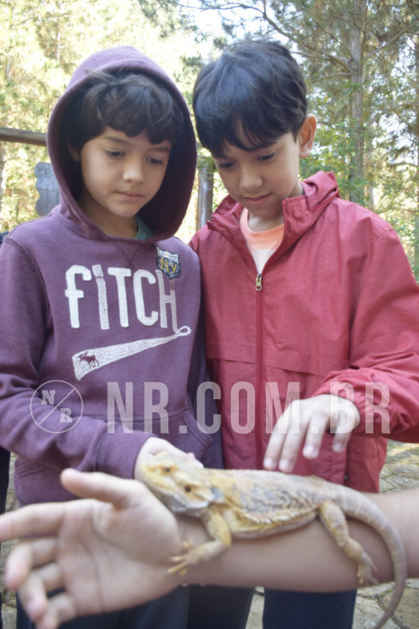 Buy your photos of the eventNR1 - English & Action - 07 a 09/06/19 on Fotop