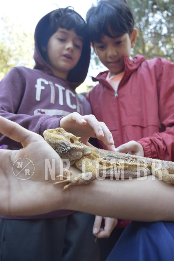 Buy your photos of the eventNR1 - English & Action - 07 a 09/06/19 on Fotop