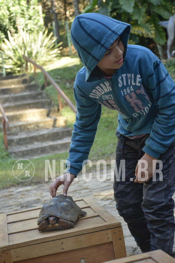 Buy your photos of the eventNR1 - English & Action - 07 a 09/06/19 on Fotop