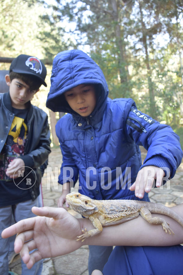 Buy your photos of the eventNR1 - English & Action - 07 a 09/06/19 on Fotop