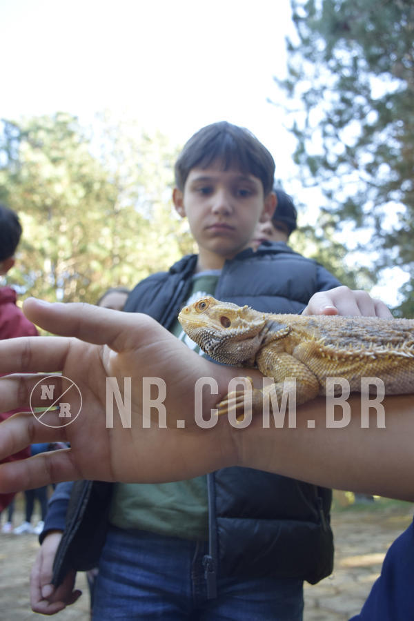 Buy your photos of the eventNR1 - English & Action - 07 a 09/06/19 on Fotop