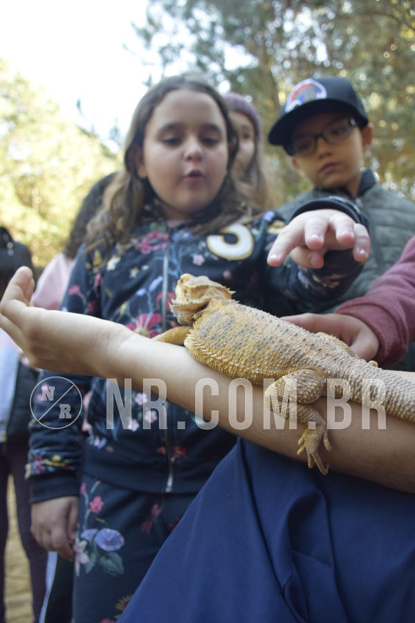 Buy your photos of the eventNR1 - English & Action - 07 a 09/06/19 on Fotop