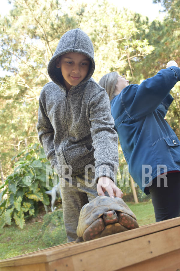 Buy your photos of the eventNR1 - English & Action - 07 a 09/06/19 on Fotop