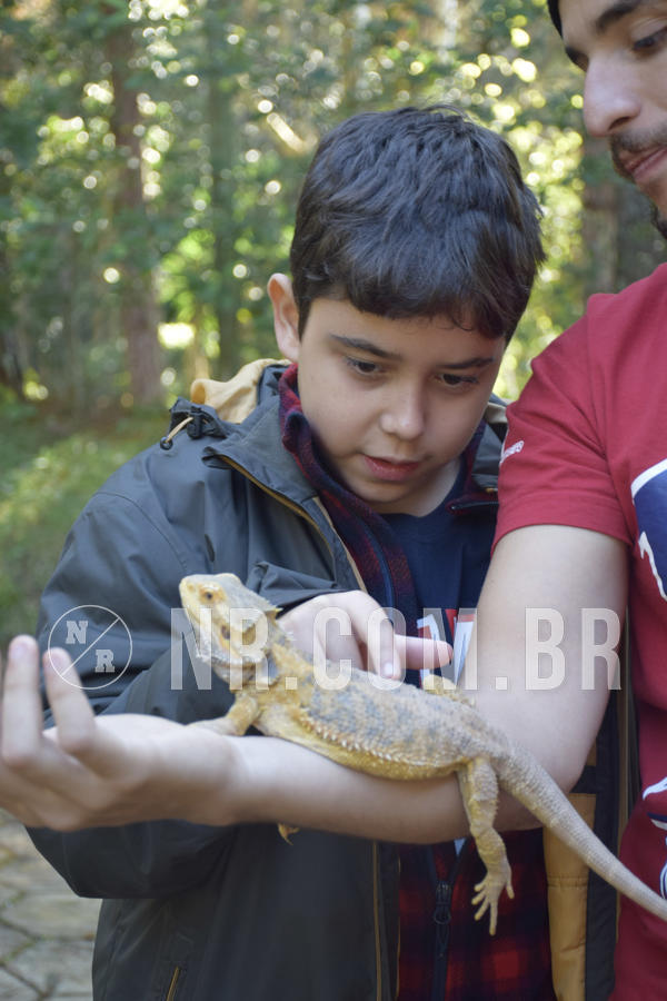 Buy your photos of the eventNR1 - English & Action - 07 a 09/06/19 on Fotop