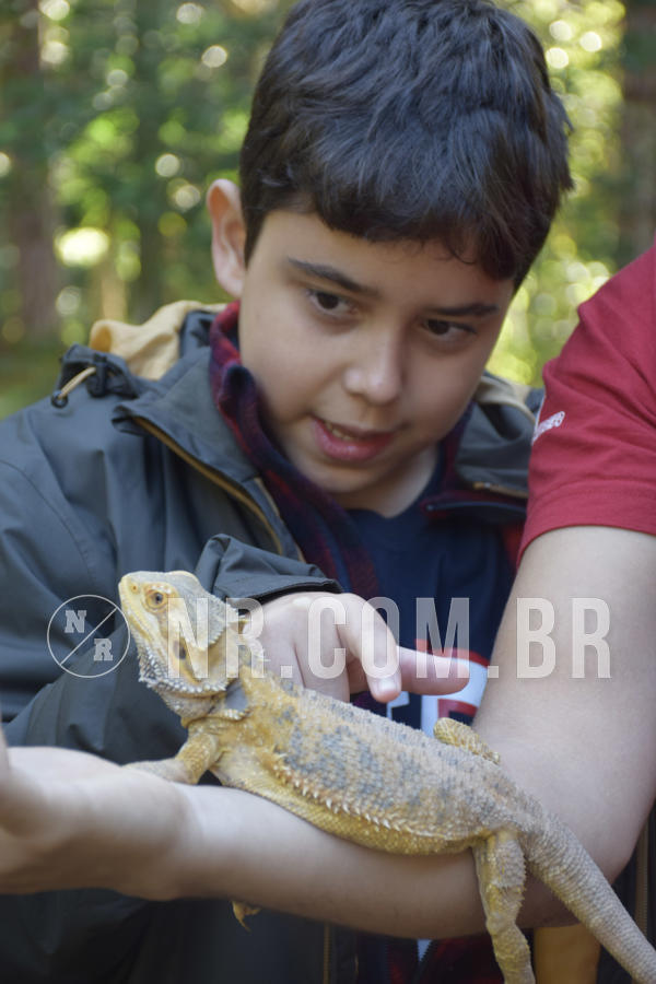 Buy your photos of the eventNR1 - English & Action - 07 a 09/06/19 on Fotop