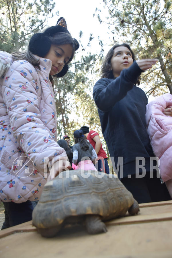 Buy your photos of the eventNR1 - English & Action - 07 a 09/06/19 on Fotop