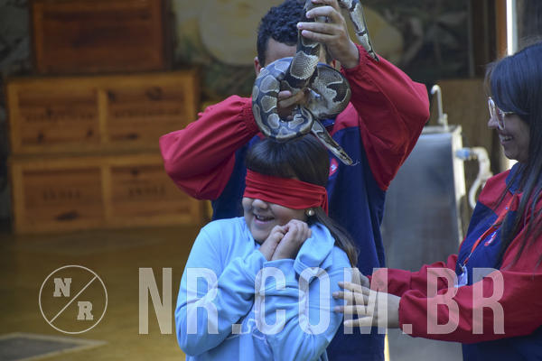 Buy your photos of the eventNR1 - English & Action - 07 a 09/06/19 on Fotop