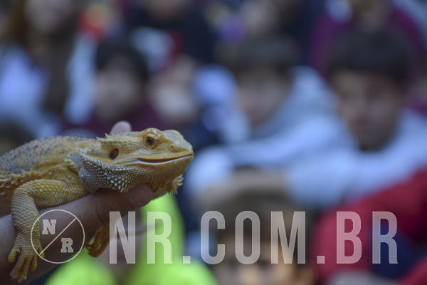 Buy your photos of the eventNR1 - English & Action - 07 a 09/06/19 on Fotop