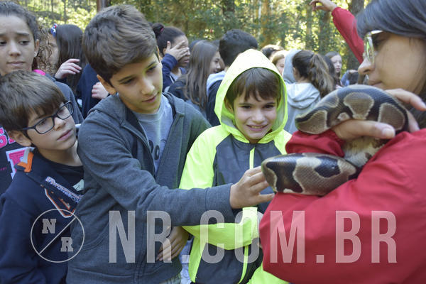 Buy your photos of the eventNR1 - English & Action - 07 a 09/06/19 on Fotop