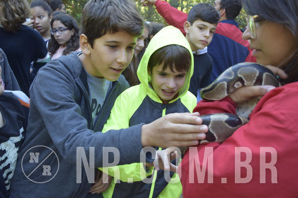 Buy your photos of the eventNR1 - English & Action - 07 a 09/06/19 on Fotop