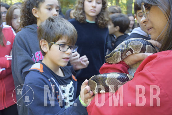 Buy your photos of the eventNR1 - English & Action - 07 a 09/06/19 on Fotop