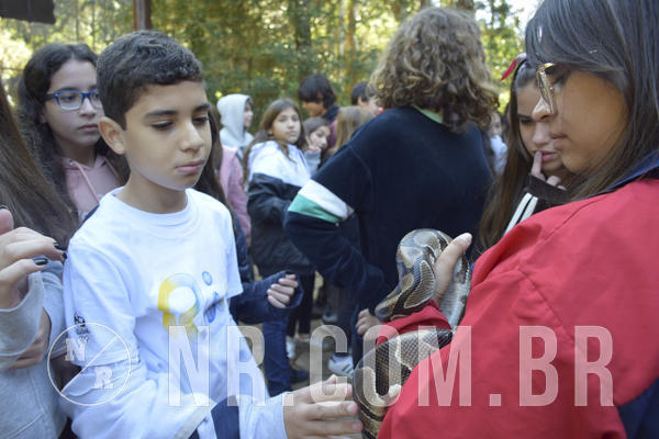 Buy your photos of the eventNR1 - English & Action - 07 a 09/06/19 on Fotop