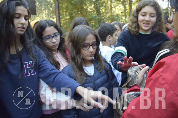 Buy your photos of the eventNR1 - English & Action - 07 a 09/06/19 on Fotop