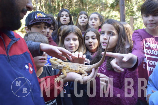 Buy your photos of the eventNR1 - English & Action - 07 a 09/06/19 on Fotop