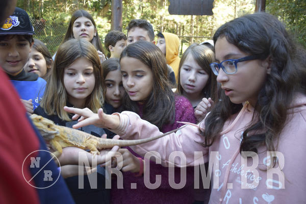 Buy your photos of the eventNR1 - English & Action - 07 a 09/06/19 on Fotop