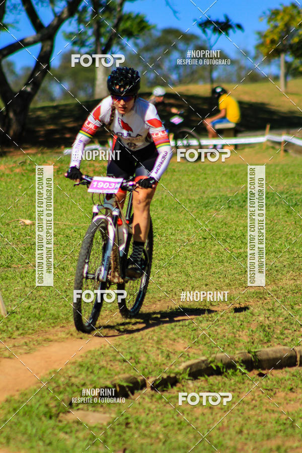 Buy your photos of the eventCampeonato Paulista de MTB XCO 2019 on Fotop