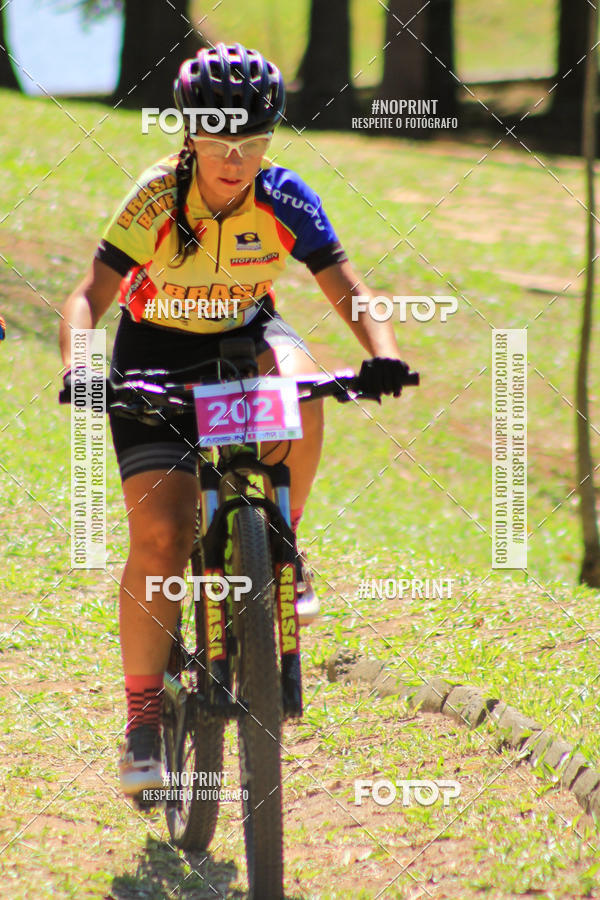 Buy your photos of the eventCampeonato Paulista de MTB XCO 2019 on Fotop