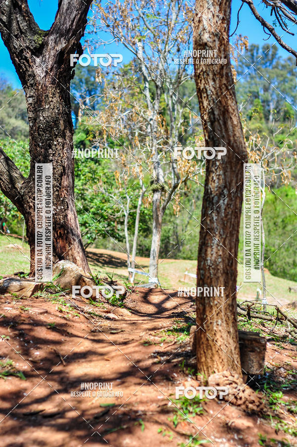 Buy your photos of the eventCampeonato Paulista de MTB XCO 2019 on Fotop