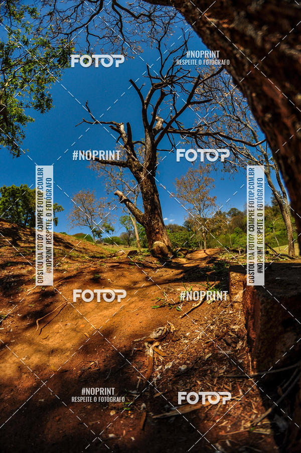 Buy your photos of the eventCampeonato Paulista de MTB XCO 2019 on Fotop