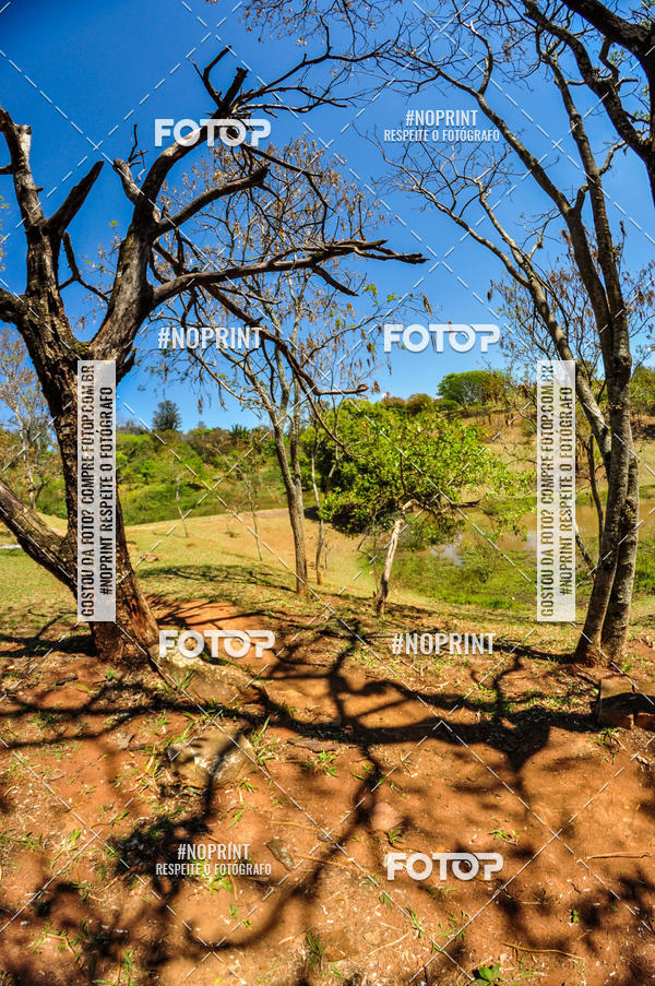 Buy your photos of the eventCampeonato Paulista de MTB XCO 2019 on Fotop