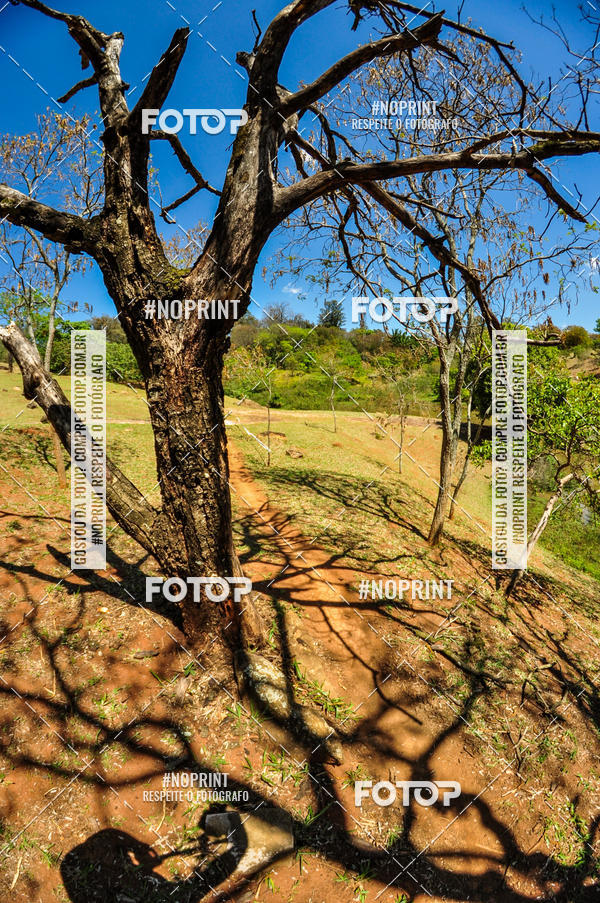 Buy your photos of the eventCampeonato Paulista de MTB XCO 2019 on Fotop