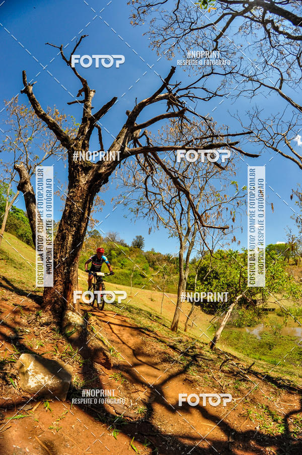 Buy your photos of the eventCampeonato Paulista de MTB XCO 2019 on Fotop
