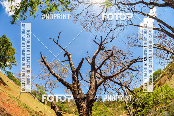 Buy your photos of the eventCampeonato Paulista de MTB XCO 2019 on Fotop