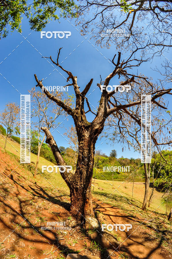Buy your photos of the eventCampeonato Paulista de MTB XCO 2019 on Fotop
